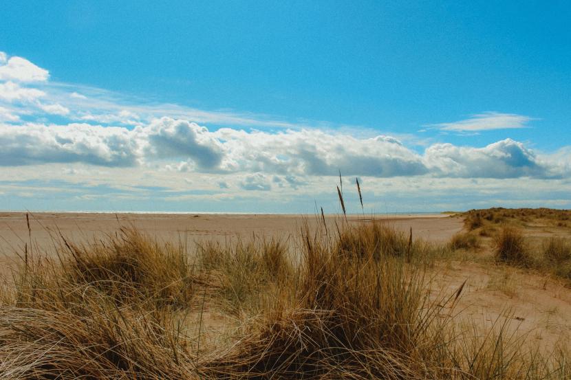 Sand dunes and a stretch of beach in the foreground, with the sea  beyond and blue skies above.
