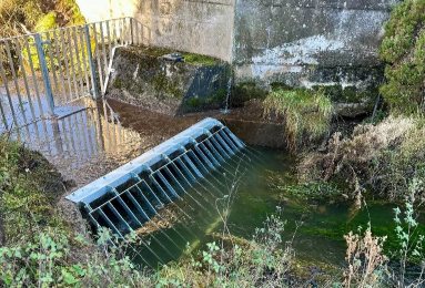 Stream with a gate structure between the bridge 
