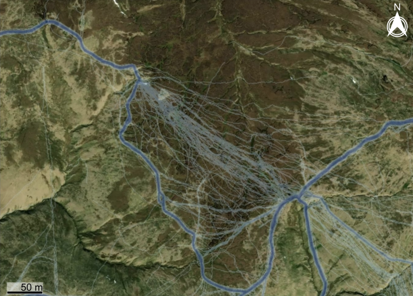 Strava activity tracker showing hiking routes of users over a peat bog in the Ochil Hills, Scotland