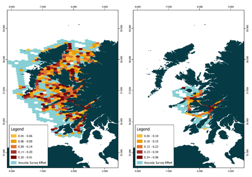 Maps of the west coast of Scotland with the acoustic detection rates (detection per unit effort) for harbour porpoise (Phocoena Phocoena) presented on a 50 km2 hexagonal grid. Summer 2021-2023 is presented (left). Winter 2021-2024 is presented (right).