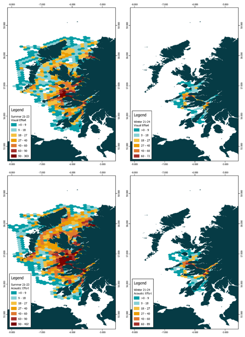 Four maps of the west coast of Scotland with the visual and acoustic survey effort presented on a 50 km2 hexagonal grid, per season from April 2021 to March 2024. Visual effort is presented in sea states 3 or less.