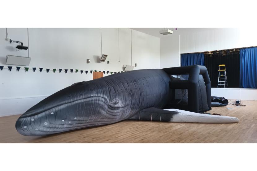 Giant blow up whale in a hall.
