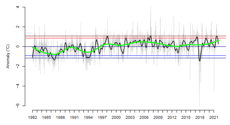 Line graph of sea surface temperature from 1982 to 2022. Temperature shows fluctuation with an extreme cold spell in 2018 due to Anticyclone Hartmut.