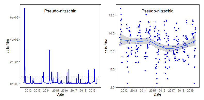 Line and scatter graph of Pseudo-nitzschia in cells/litre from 2011 to 2020. Spring/summer blooms can be seen in the line graph.