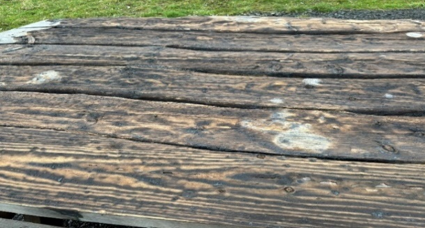 A picnic table in one of the Wee Forests showing burn marks from vandalism