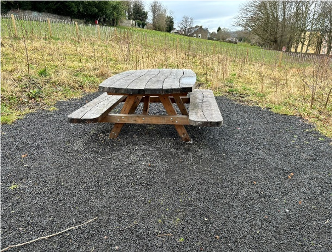 A picnic table in a Wee Forest