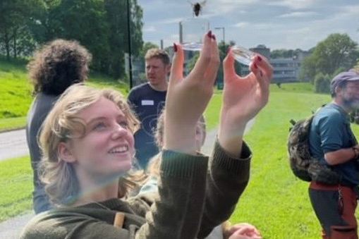  Releasing a bee from an observation pot