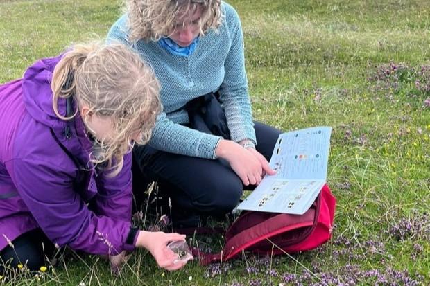 two people looking at a bee guide