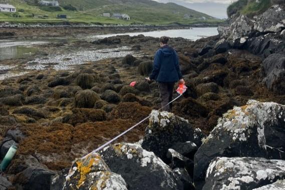 A person measuring rocky shoreline