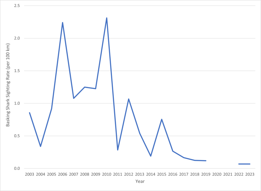 A line graph showing basking shark sightings rates per year from 2003 to 2023. The sighting rate shows variability between years reaching a low of 0.07 sightings per 100 km in 2022 and 2023 from a maximum of 2.31 sightings per 100 km in 2010.