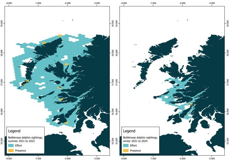 Maps of the west coast of Scotland with the presence of bottlenose dolphin (Tursiops truncatus) in all sea states presented on a 50 km2 hexagonal grid in summer 2021-2023 (left) and winter 2021-2024 (right).