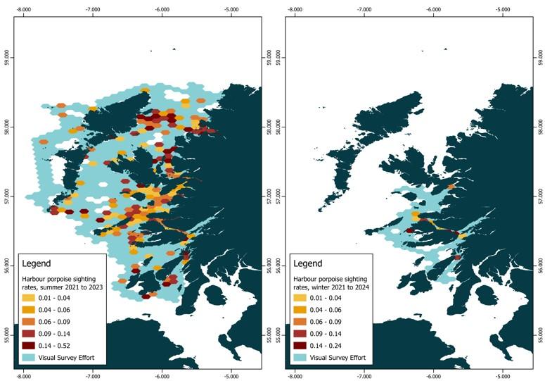 Maps of the west coast of Scotland with the sightings rates (sightings per unit effort) for harbour porpoise (Phocoena Phocoena) presented on a 50 km2 hexagonal grid. Summer 2021-2023 is presented (left). Winter 2021-2024 is presented (right).
