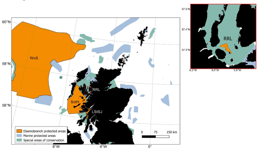 A map of the waters around Scotland showing MPAsspecial areas of conservation and marine protected areas. MPAs specifically for elasmobranchs are highlighted.