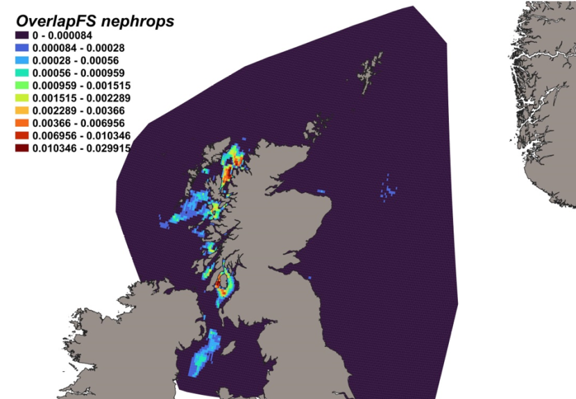 Map of predicted bycatch hotspots - i.e. overlap - between flapper skate distributions and Nephrops fishery distributions in Scottish waters. Degree of overlap is represented by a colour ramp.