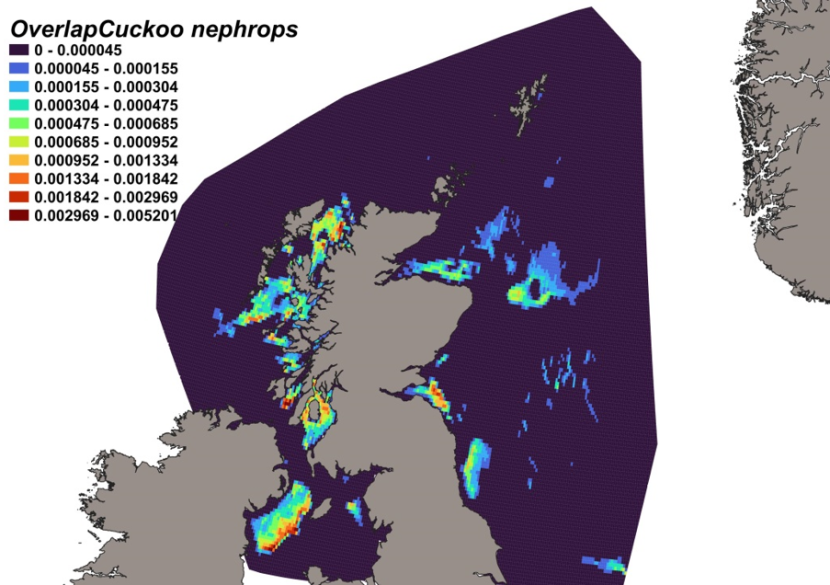 Map of predicted bycatch hotspots - i.e. overlap - between cuckoo ray distributions and Nephrops fishery distributions in Scottish waters. Degree of overlap is represented by a colour ramp. 