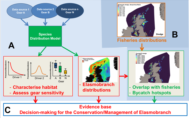 Schematic diagram of the project objectives workflow