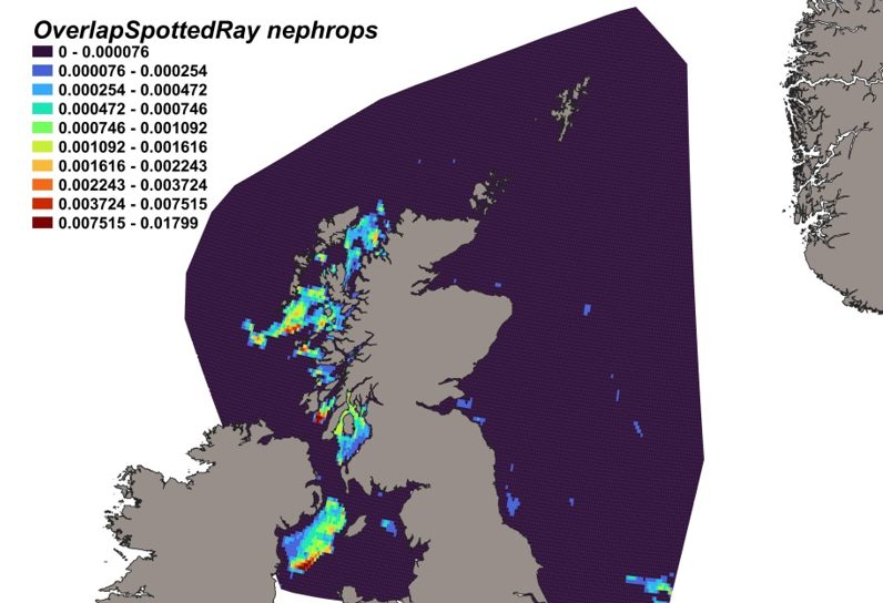 Map of predicted bycatch hotspots - i.e. overlap - between spotted ray distributions and Nephrops fishery distributions in Scottish waters. Degree of overlap is represented by a colour ramp.