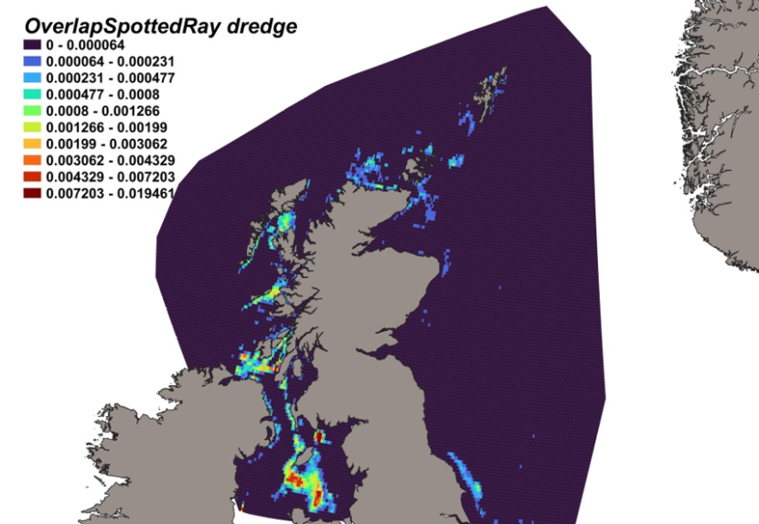 Map of predicted bycatch hotspots - i.e. overlap - between spotted ray distributions and scallop fishery distributions in Scottish waters. Degree of overlap is represented by a colour ramp.