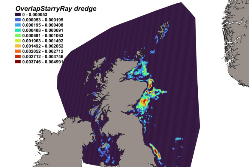 Map of predicted bycatch hotspots - i.e. overlap - between starry ray distributions and scallop fishery distributions in Scottish waters. Degree of overlap is represented by a colour ramp.