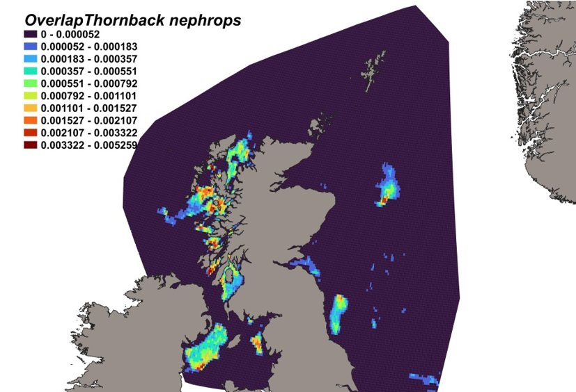 Map of predicted bycatch hotspots - i.e. overlap - between thornback ray distributions and Nephrops fishery distributions in Scottish waters. Degree of overlap is represented by a colour ramp.