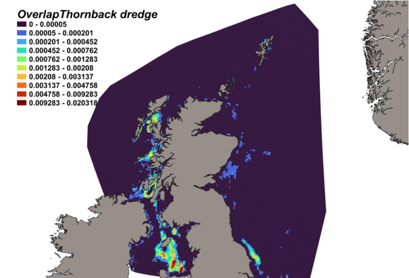 Map of predicted bycatch hotspots - i.e. overlap - between thornback ray distributions and scallop fishery distributions in Scottish waters. Degree of overlap is represented by a colour ramp.
