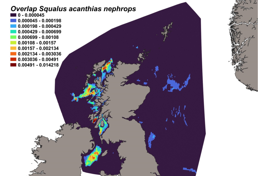 Map of predicted bycatch hotspots - i.e. overlap - between spurdog distributions and Nephrops fishery distributions in Scottish waters. Degree of overlap is represented by a colour ramp.