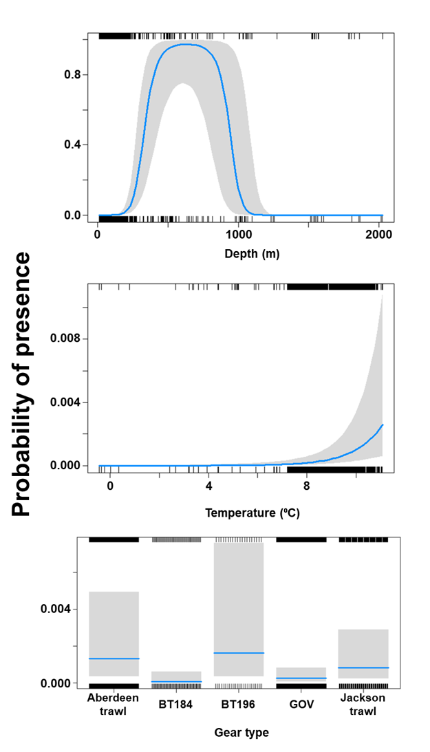 A panel of three charts depicting the relationship between probability of blackmouth dogfish presence and environmental variables – represented by two line charts - and fishing gear type - represented by a histogram.  Shaded areas around the fitted lines represent confidence intervals.