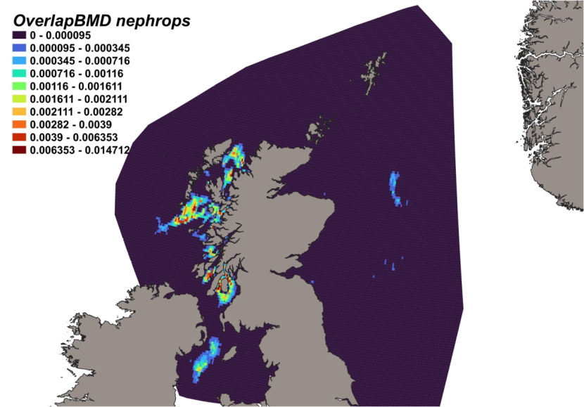 Map of predicted bycatch hotspots - i.e. overlap - between blackmouth dogfish distributions and Nephrops fishery distributions in Scottish waters. Degree of overlap is represented by a colour ramp.