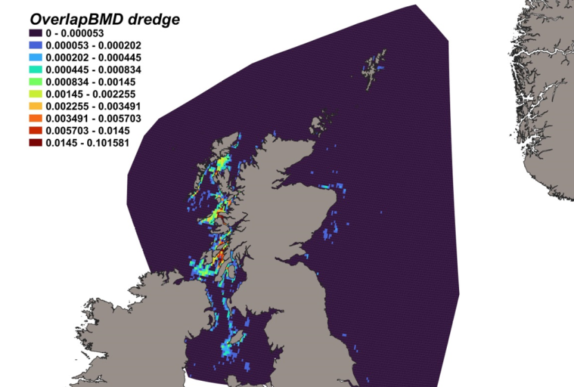 Map of predicted bycatch hotspots - i.e. overlap - between blackmouth dogfish distributions and scallop fishery distributions in Scottish waters. Degree of overlap is represented by a colour ramp.