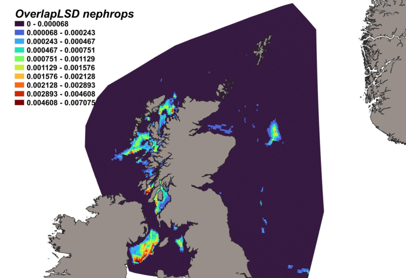 Map of predicted bycatch hotspots - i.e. overlap - between lesser spotted dogfish distributions and Nephrops fishery distributions in Scottish waters. Degree of overlap is represented by a colour ramp.