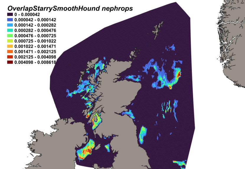 Map of predicted bycatch hotspots - i.e. overlap - between starry smooth-hound distributions and Nephrops fishery distributions in Scottish waters. Degree of overlap is represented by a colour ramp.