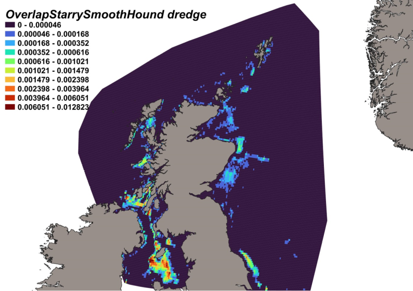 Map of predicted bycatch hotspots - i.e. overlap - between starry smooth-hound distributions and scallop fishery distributions in Scottish waters. Degree of overlap is represented by a colour ramp.