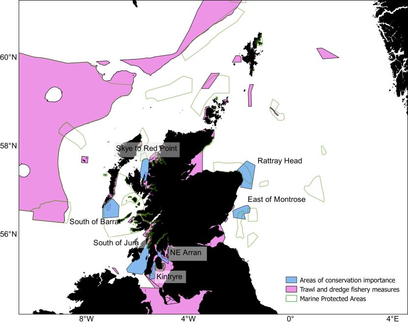 A map of the waters around Scotland showing seven areas of conservation importance along with existing marine protected areas and areas with fishing restrictions in place. 