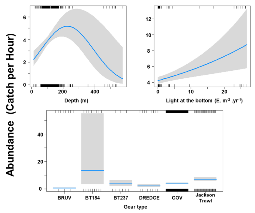 A panel of three charts showing the relationship between flapper skate abundance and depth, light intensity – both represented by two line charts - and fishing gear type - represented by a histogram.  Shaded areas around the fitted line represent confidence intervals.