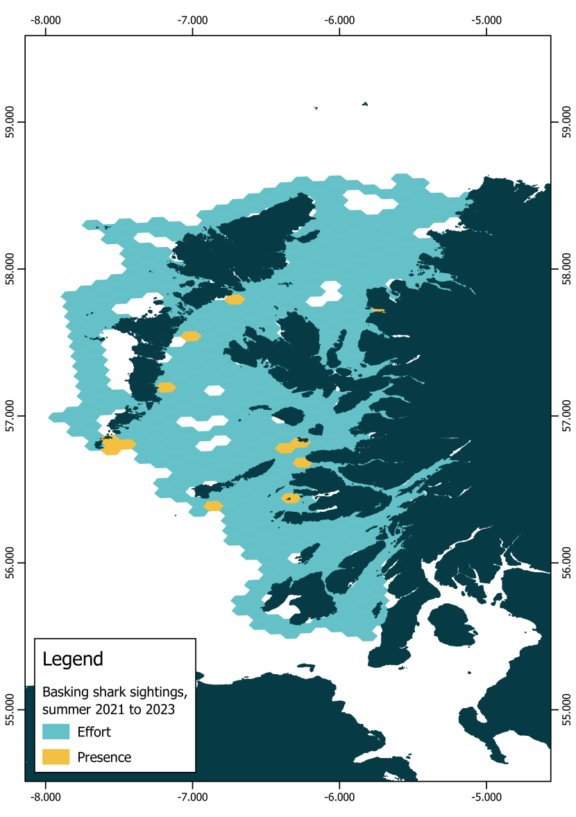 Map of the west coast of Scotland with the presence of basking shark (Cetorhinus maximus) in all sea states presented on a 50 km2 hexagonal grid in summer 2021-2023.
