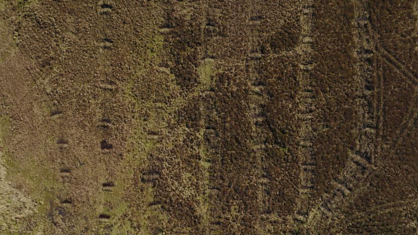 Aerial of of wave dams blocking a network of ditches. ©Peatland ACTION/Swift Films
