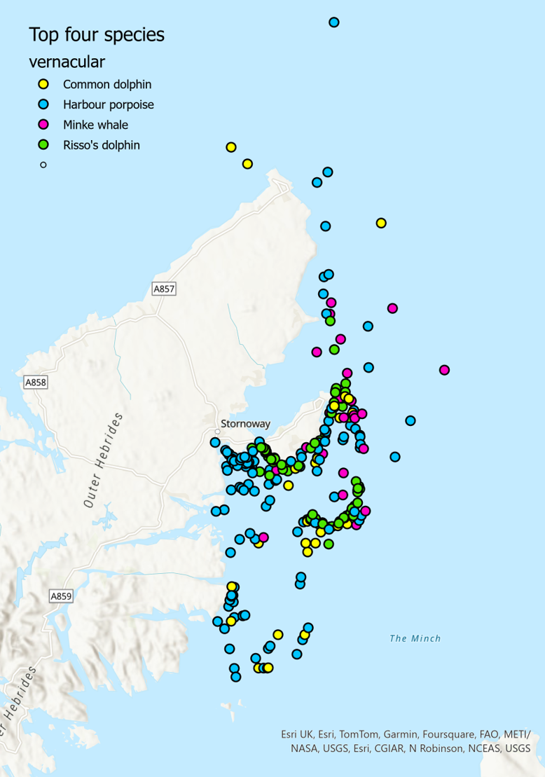 Map of north-east Lewis MPA showing location of sightings of Risso’s dolphin, common dolphin, harbour porpoise and minke whale