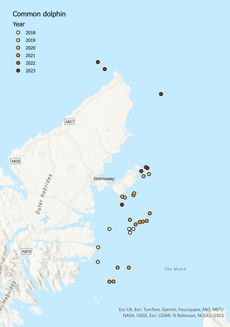 Map of north-east Lewis MPA showing location of common dolphin sightings