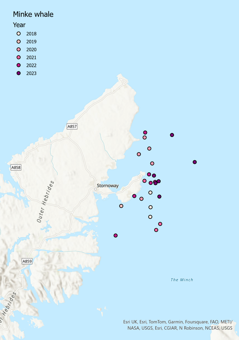 Map of north-east Lewis MPA location of minke whale sightings