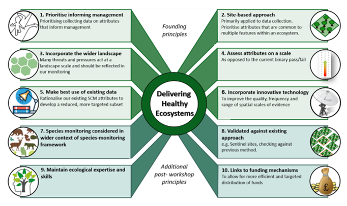 Infographic illustrating the addition of four new guiding principles to the initial 6 in figure 1, in response to the consultation feedback.
