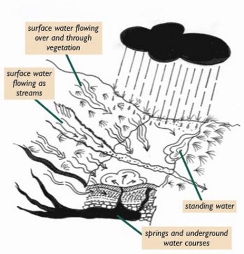 Diagram of water flow systems. As described in section 2.0 of the Upland Pathwork Manual.
