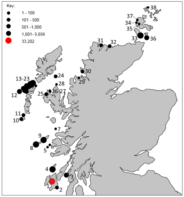Map of Scotland showing sites where Greenland barnacle geese were counted