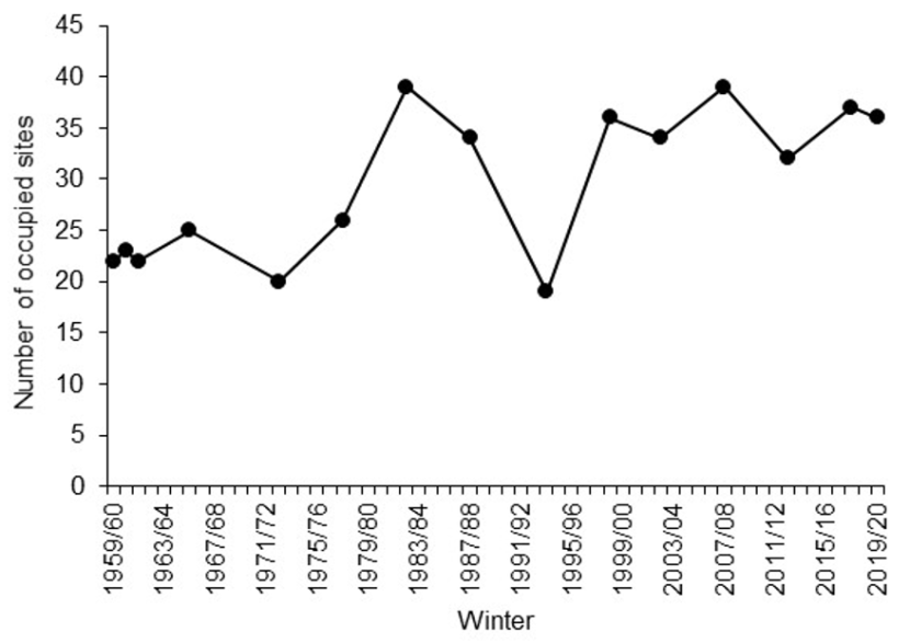 Graph of Greenland barnacle goose site occupation 