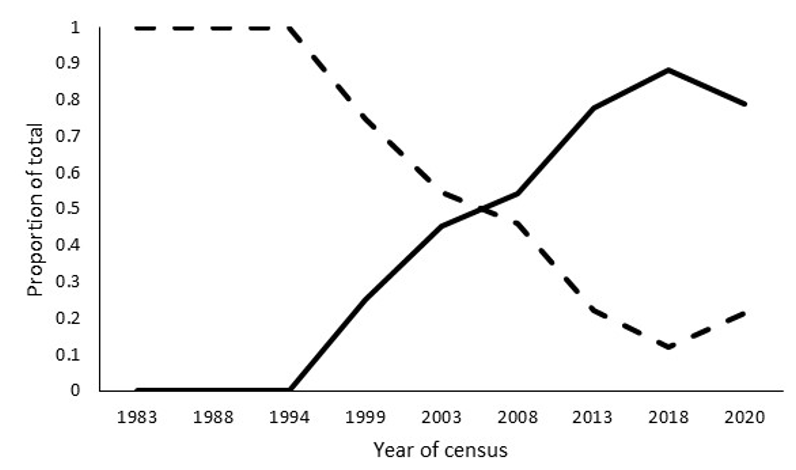 Graph of the proportion of Greenland barnacle geese counted on North Uist mainland and offshore islands