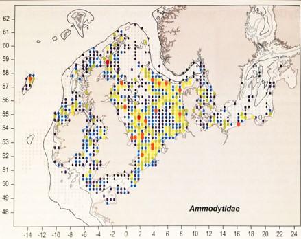 Map displaying coloured dots representing sandeel density distribution in seas surrounding the UK. 