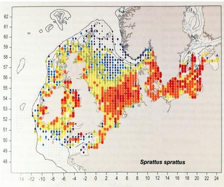 Map displaying coloured dots representing sprat distribution in seas surrounding the UK. 