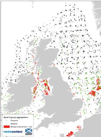 Map displaying coloured dots, polygons and black crosses representing modelled sprat distribution in seas around the UK.