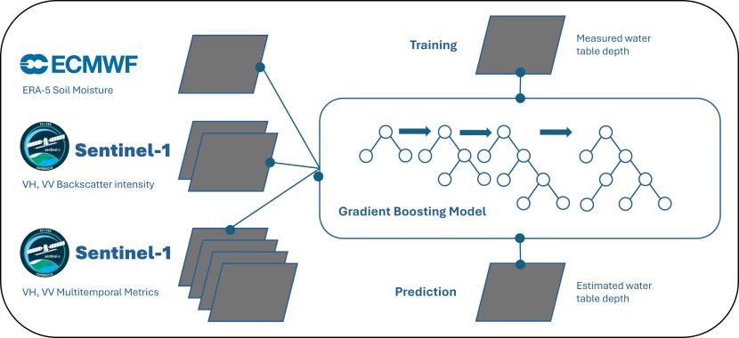 A workflow diagram showing grey squares symbolising layers of satellite or in-situ sensor data feeding into the machine learning model. The inputs are symbolised by grey squares relating to Sentinel-1 backscattering intensities, multitemporal metrics, ECMWF soil moisture forecasts and measured water table depths. The outputted estimated water table depths are symbolised by another grey square.