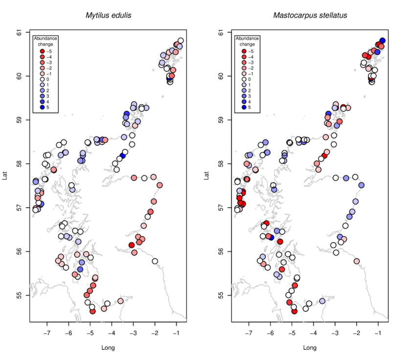 Showing 2 maps of Scotland, including the Outer Hebrides, Shetland and Orkney. Dots represents survey locations and are coloured depending on change in abundance.