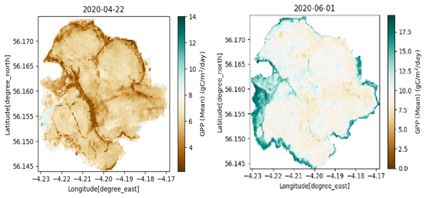 A collage of two maps in the shape of Flanders Moss overlaid by blue to brown gradients. Left-hand map from April 2020 showing almost entirely light brown with dark brown lines running through the bog (lower GPP), right-hand map from June 2020 showing considerably more light colours and dark blue around the edges (higher GPP).